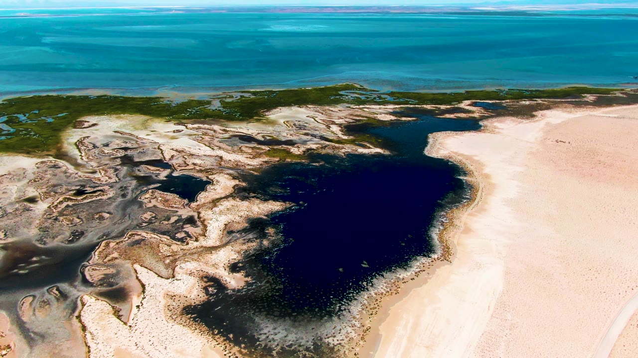 Aerial frame over Guerrero Negro where the dark lagoon fills the lower center, pale sand runs along the right edge, and low vegetation separates the wetland from the blue ocean, no visible people.