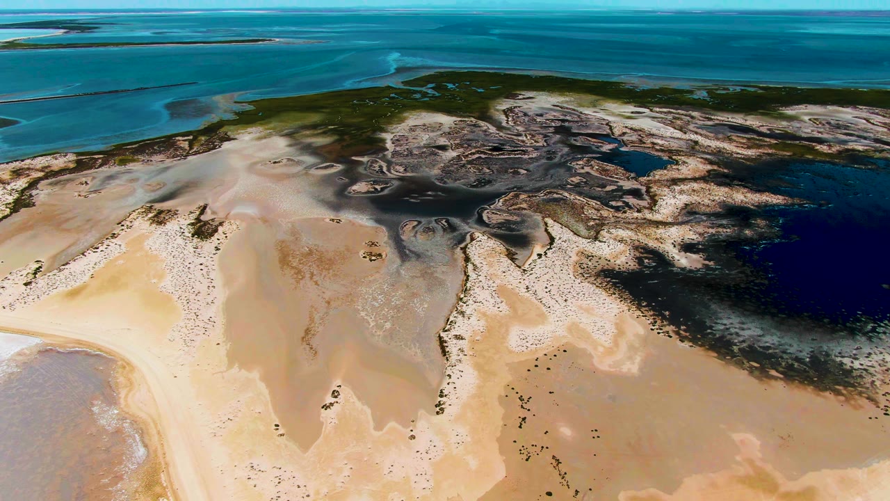 Third frame shows the Guerrero Negro tidal flats with pale sand in front, a dark blue water area to the right, and low green-brown wetland bands under a brightening sky, with no visible people.