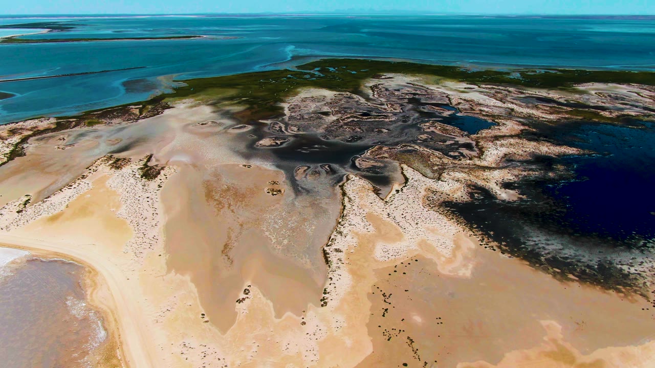 Wide drone-like view across sandy tidal flats and coastal marsh.