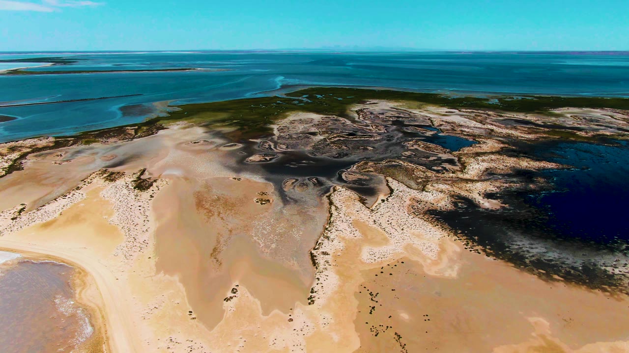 Aerial view of sandy tidal flats, blue water channels, green vegetation, and ocean horizon.