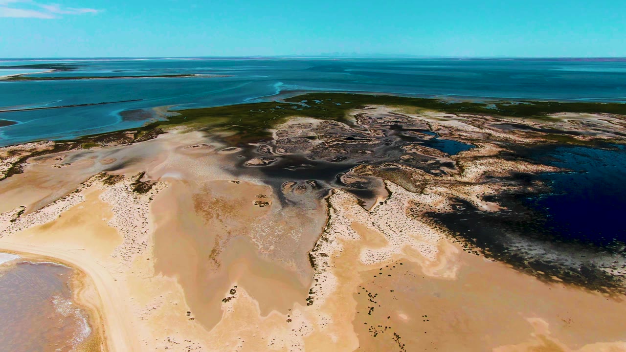 High aerial frame from Guerrero Negro showing tan sandflats below, irregular dark wet zones across the shore, blue lagoon water to the right, green coastal vegetation, and no visible people.