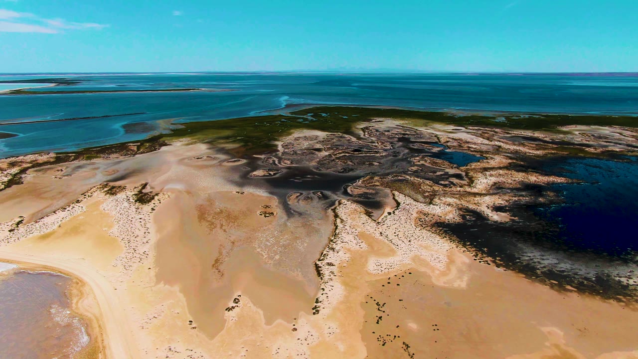 Wide aerial frame over Guerrero Negro with a curved pale beach edge at lower left, broad sandflats, dark tidal marks, green vegetation, distant blue ocean, and no visible people.