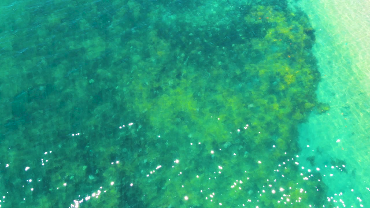 Turquoise shallow water with green seabed and sunlight glints.