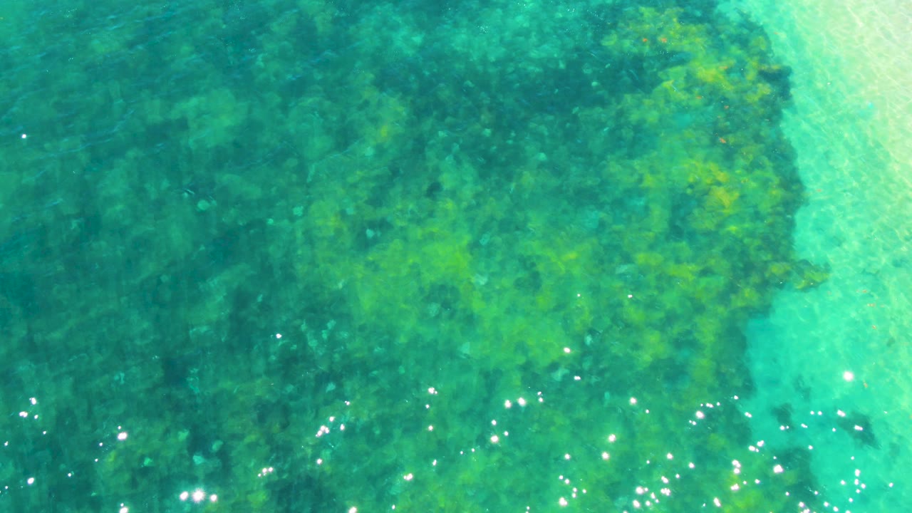 Clear shallow water in Bahia De Los Angeles, Mexico, with a darker green seabed area under the surface and small scattered light glints, no visible people.