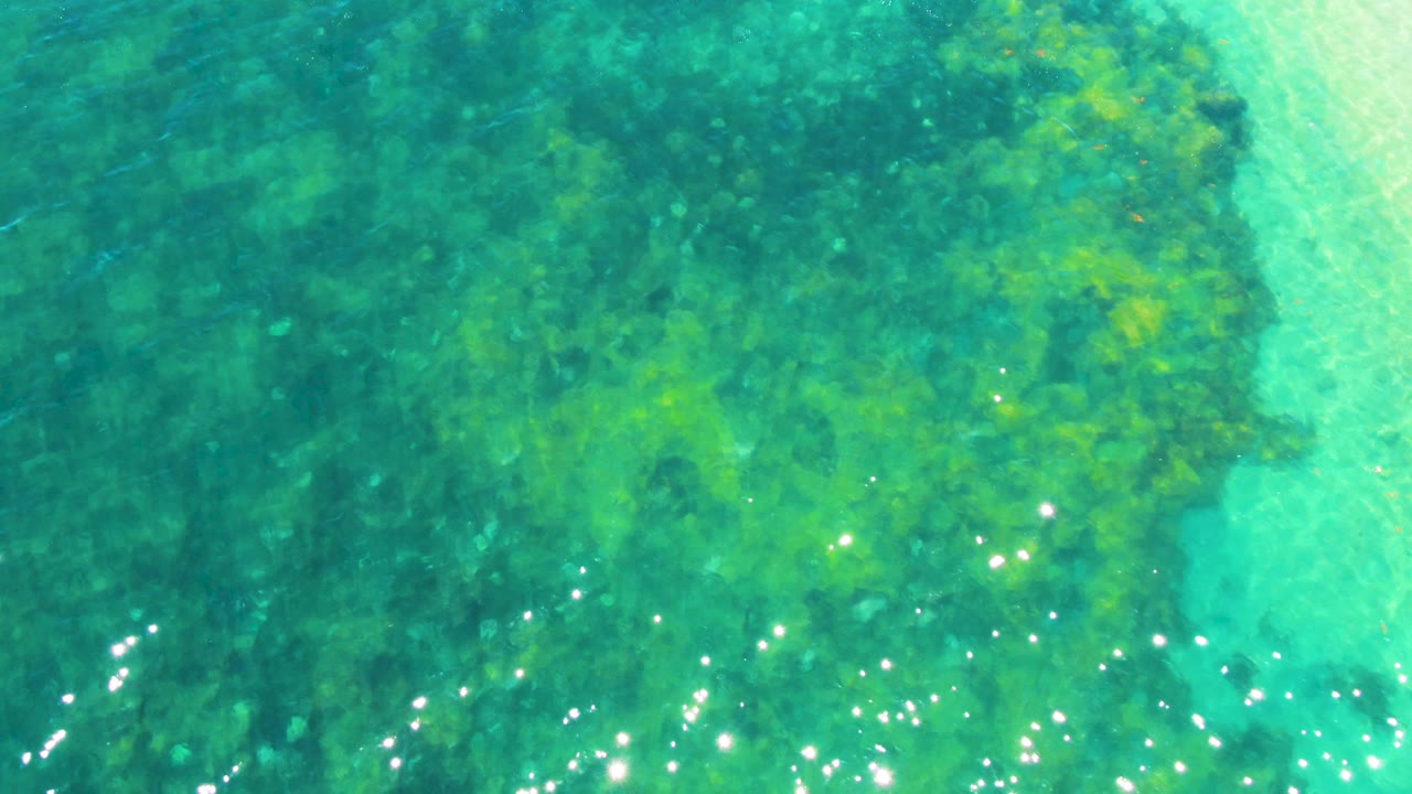 Turquoise shallow ocean water in Bahia De Los Angeles, Mexico, with bright sunlight points across the lower surface and algae patches below, no visible people.