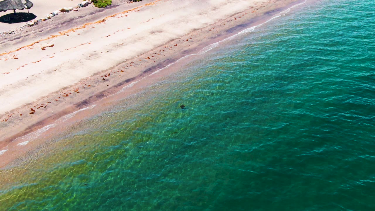 Aerial frame from Bahia De Los Angeles showing pale sand, lounge umbrellas near the beach edge, clear turquoise shallows, and a small distant person in the water.