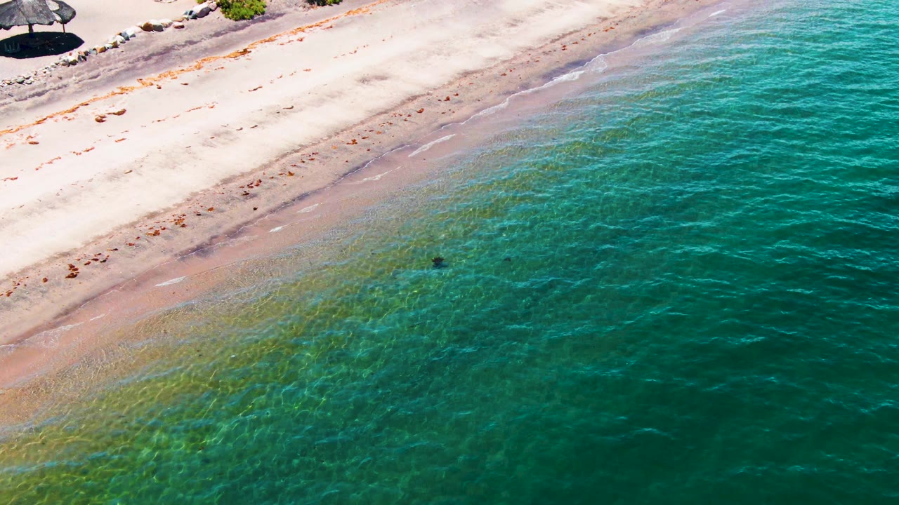 Sandy shoreline and clear water with a distant wader