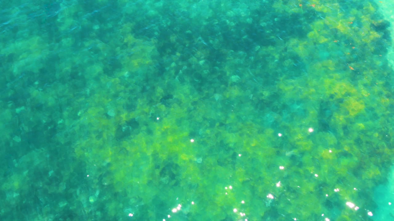 Opening frame of clear green-blue ocean water over submerged seaweed in Bahia De Los Angeles, Mexico, with scattered sunlight reflections and no visible people.