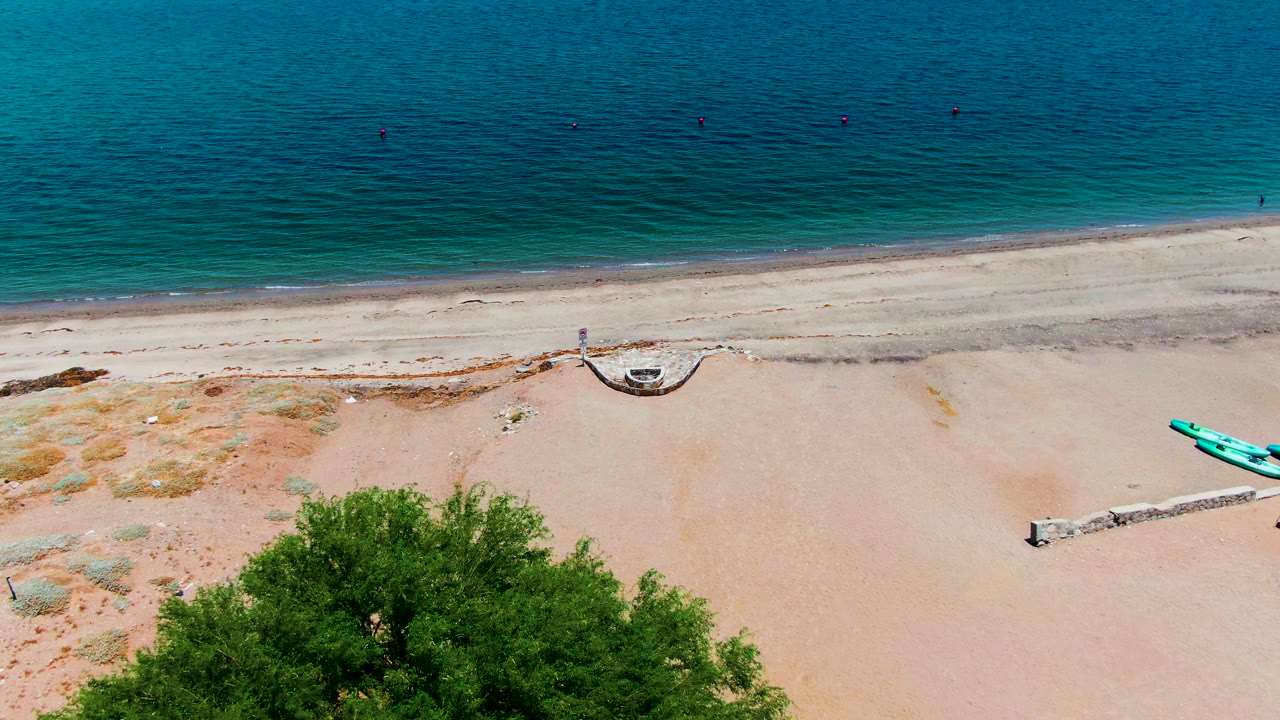 Aerial frame from Bahia de los Angeles showing turquoise water, pale sand, a large green tree at the bottom edge, small boats near the shore, and no visible people.