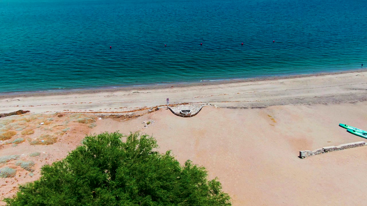 A high aerial view in Bahia de los Angeles shows calm blue ocean above a sandy shore, with the green tree larger in the foreground and no visible people.