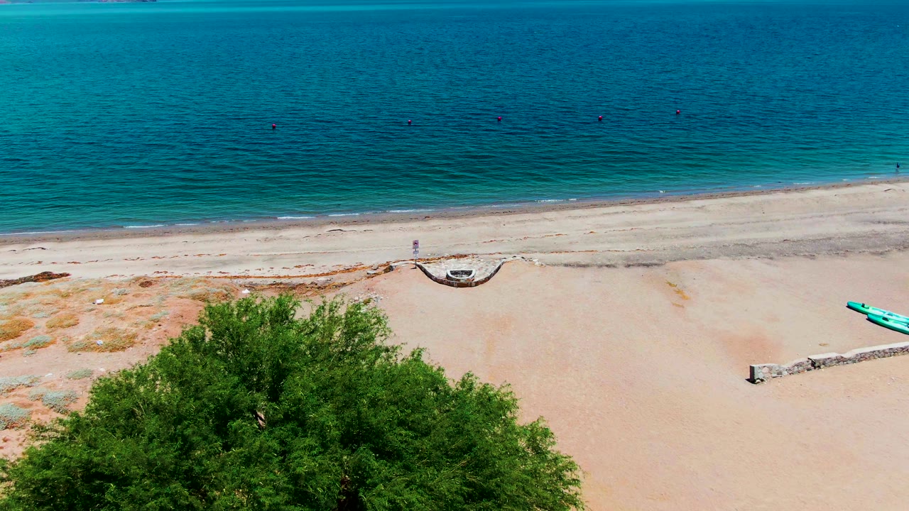 The Bahia de los Angeles coastline fills the frame with turquoise water, pale sand, a broad green tree, small boats, scattered rocks, and no visible people.
