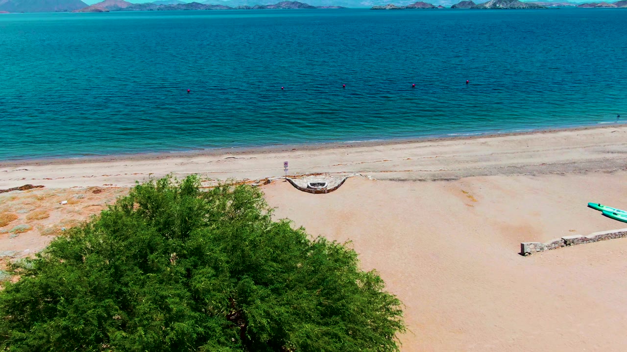 A wider-feeling aerial frame shows Bahia de los Angeles water, a sandy strip, tree canopy in the foreground, faint distant mountains across the horizon, and no visible people.