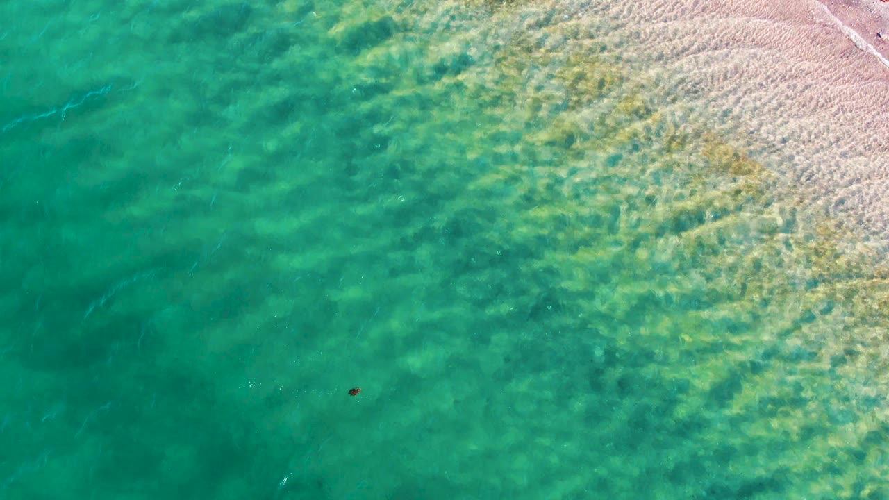 Top-down Bahia De Los Angeles shoreline view with turquoise water, pale sand, textured ripples, and a small red object slightly right of center, with no visible people.