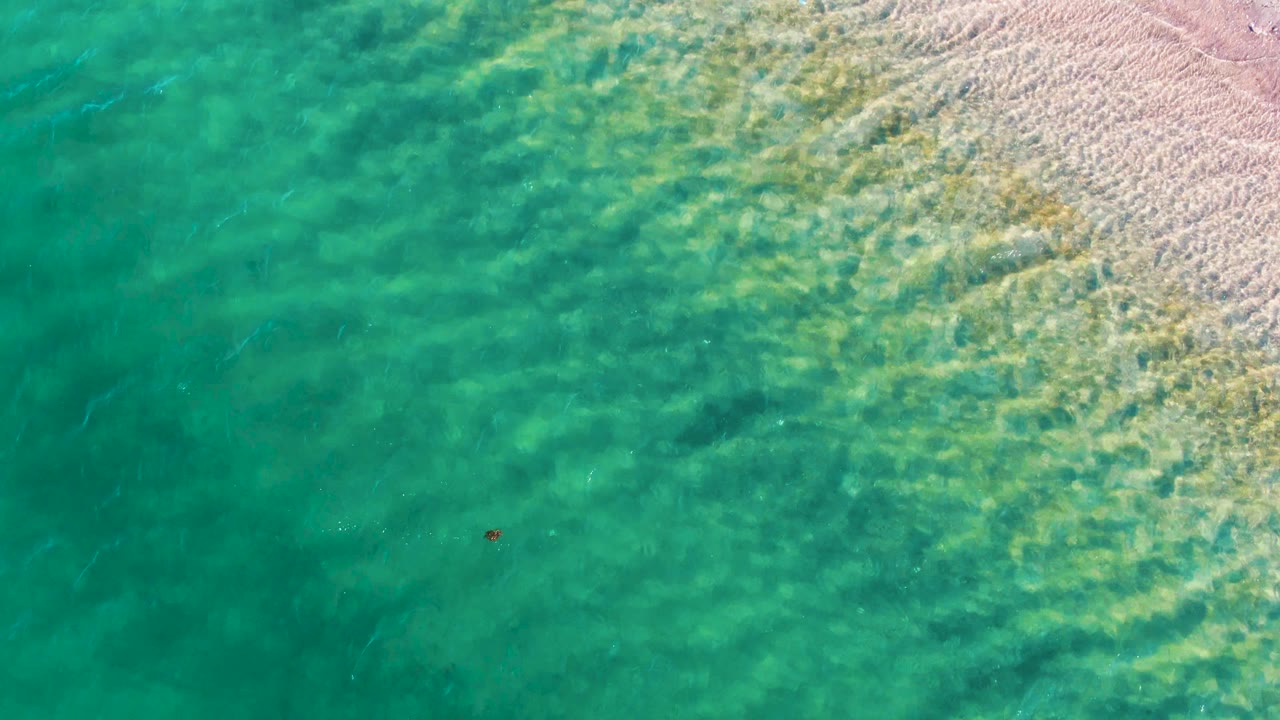 Overhead frame of Bahia De Los Angeles water where green-blue shallows fill most of the view, pale sand borders the upper right, and no visible people appear.