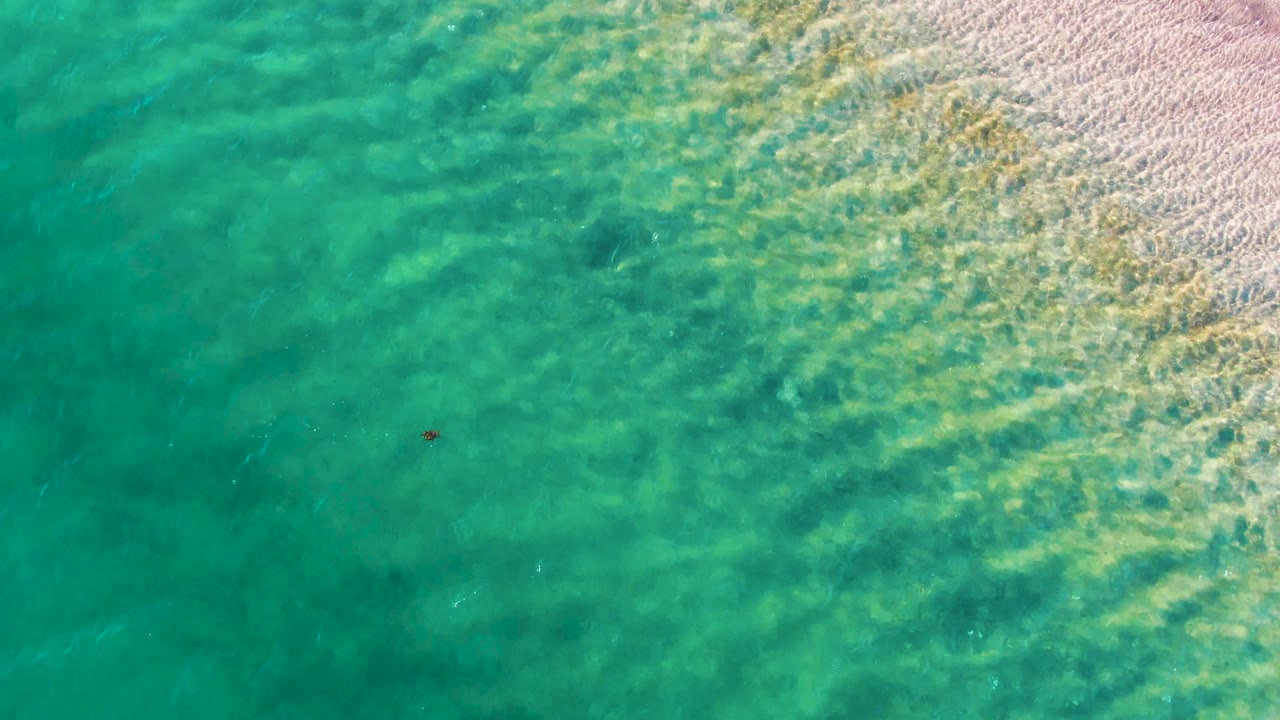 Top-down view of shallow turquoise water and pale sandy shore in Bahia De Los Angeles, with a small dark object near the center-left and no visible people.