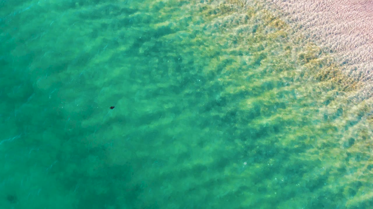 Top-down Bahia De Los Angeles water view with the small dark object slightly higher in frame, pale sand along the upper right, and no visible people.