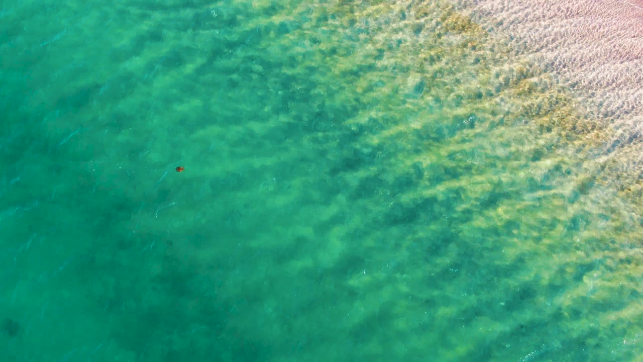 Rippling shallow ocean water beside sand