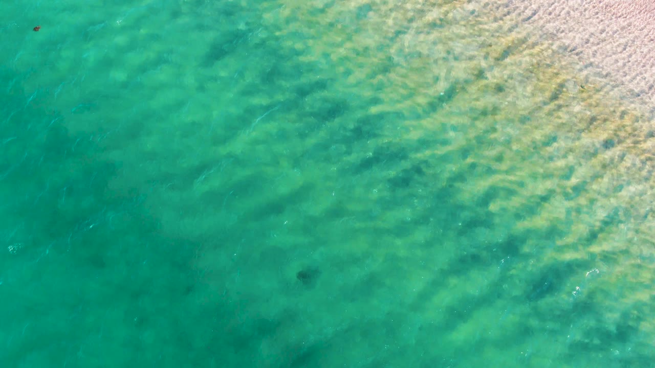 Overhead view of turquoise water in Bahia De Los Angeles, with pale sandy shallows along the right edge, scattered ripples, a small dark submerged shape near the lower left area, and no visible people.
