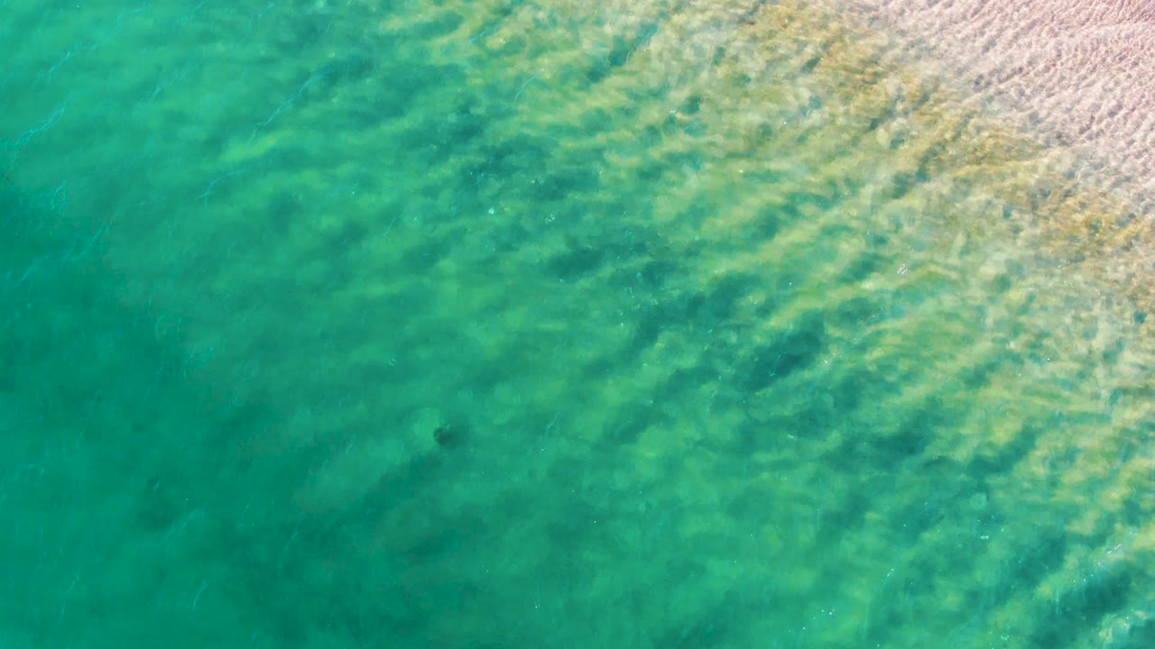 Aerial shallow ocean water with sand edge and moving dark object