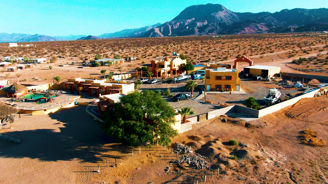 Aerial view in Bahia De Los Angeles with the large tree near the lower frame, low desert buildings across the center, parked vehicles, mountains behind the town, and no visible people.