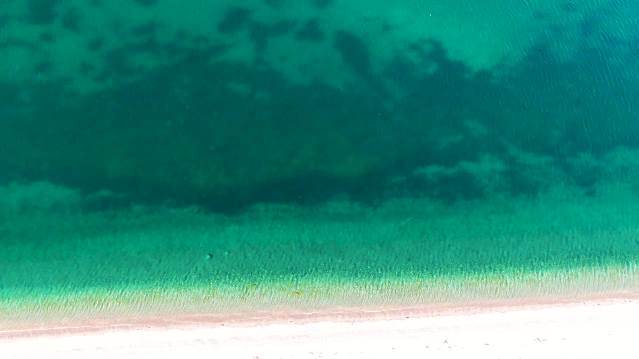 Clear green-blue water lies over a visible seabed beside the sandy Bahia De Los Angeles shoreline, with darker water offshore and no visible people.