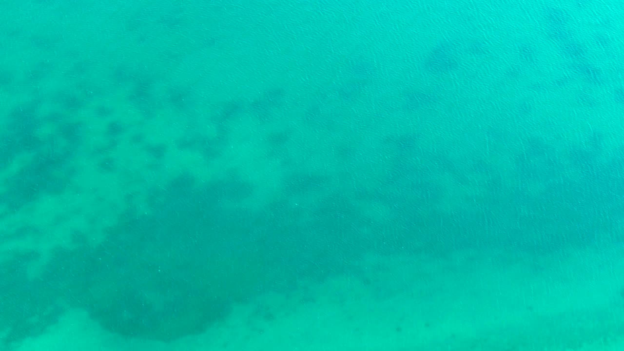 Clear shallow water in Bahia de Los Angeles shows pale seabed texture, a darker patch along the upper left, small fish scattered through the turquoise frame, and no visible people.