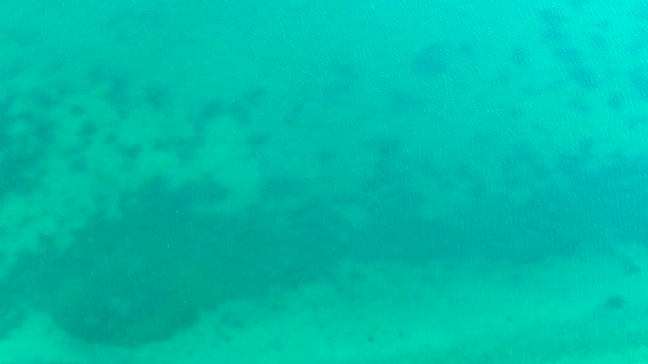 Blue-green water in Bahia de Los Angeles covers a pale sandy bottom, with a loose group of small fish visible near the center and darker underwater shading in the background, with no visible people.