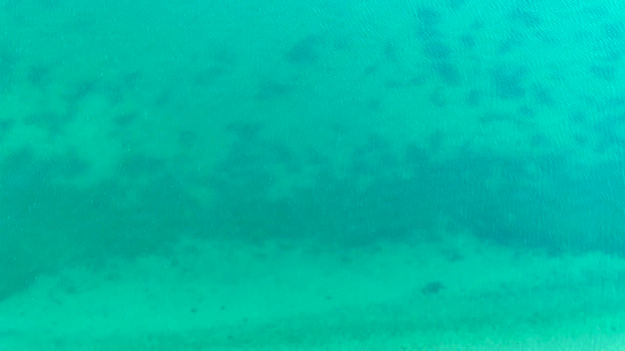 At 0:00, clear turquoise water in Bahia De Los Angeles covers a pale sandy ocean floor with scattered small fish visible as dark specks and no visible people.