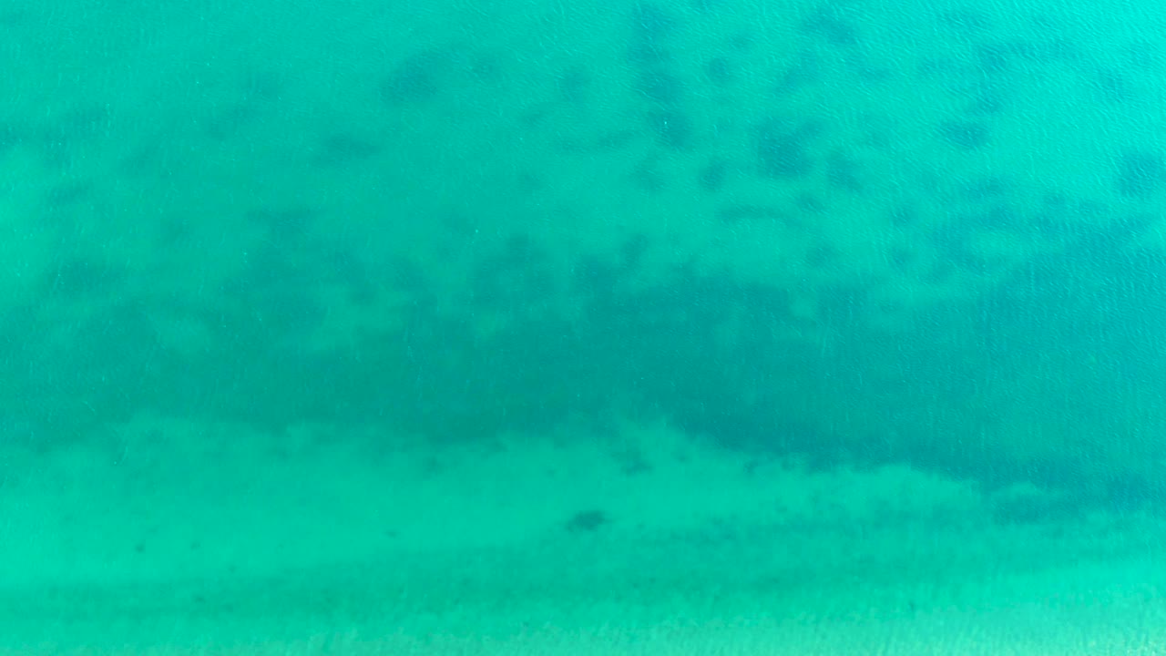 Turquoise underwater scene with small fish and sandy bottom texture.