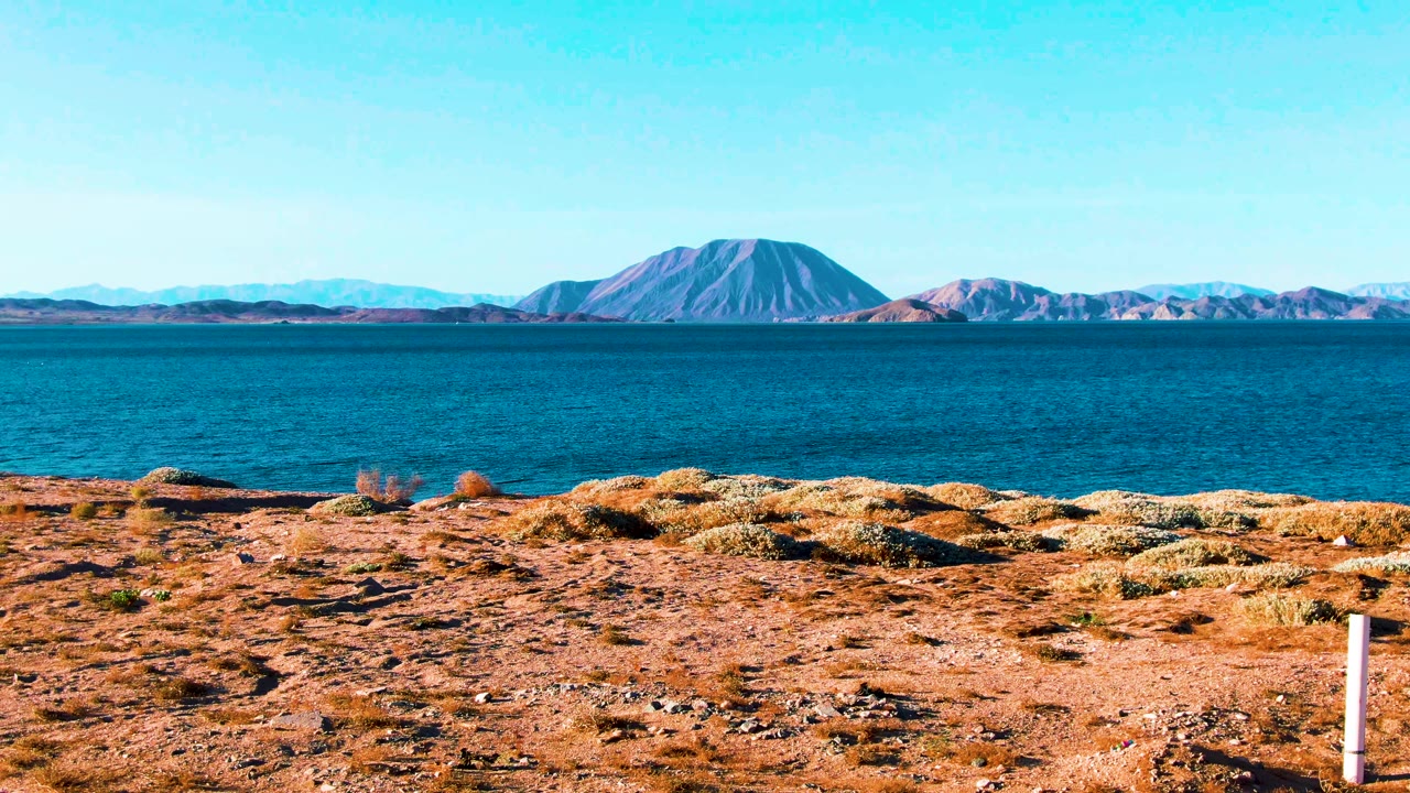 Bahia De Los Angeles shoreline with low shrubs across the dry foreground, a broad band of calm blue water, distant mountains, and no visible people one second in.