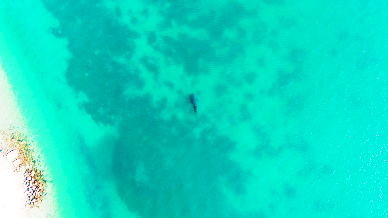 Top-down aerial view of turquoise water in Bahia De Los Angeles with darker seabed patches, pale sand and rocks along the left edge, and no recognizable people visible.