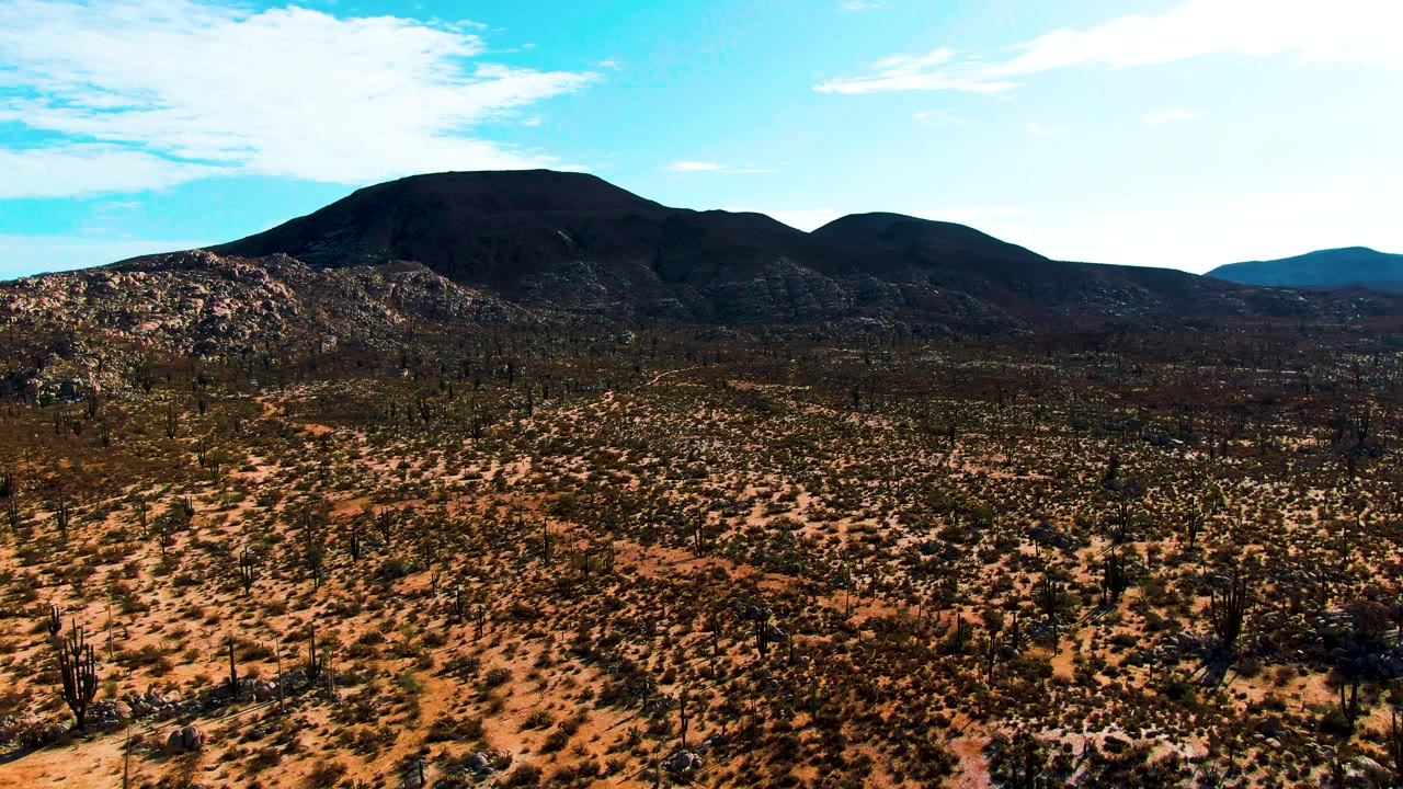 Aerial drone view over the Catavina desert in Baja California, Mexico, showing rust-orange arid terrain dotted with low cacti and desert scrub, a large dark volcanic mountain centered in the background, and a vivid blue sky with light scattered clouds; no visible people.