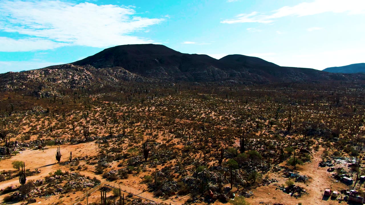 Wide aerial view in Catavina BC Mexico with a small campsite and vehicles near the lower edge, dense scattered cacti across tan desert, dark mountains beyond, light clouds, and no visible people.