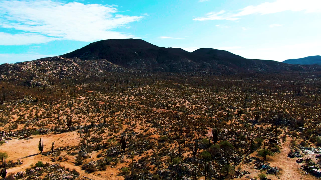 Aerial desert frame in Catavina BC Mexico showing cactus-studded sand, sparse scrub, a few faint tracks near the lower edge, dark mountain ridges in the background, and no visible people.