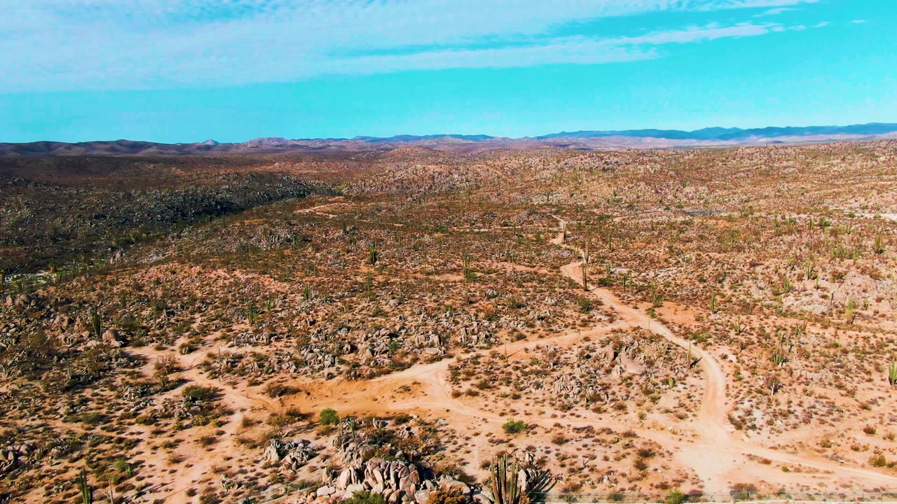 Aerial desert terrain with cacti, rocks, dirt paths, distant hills, and blue sky.