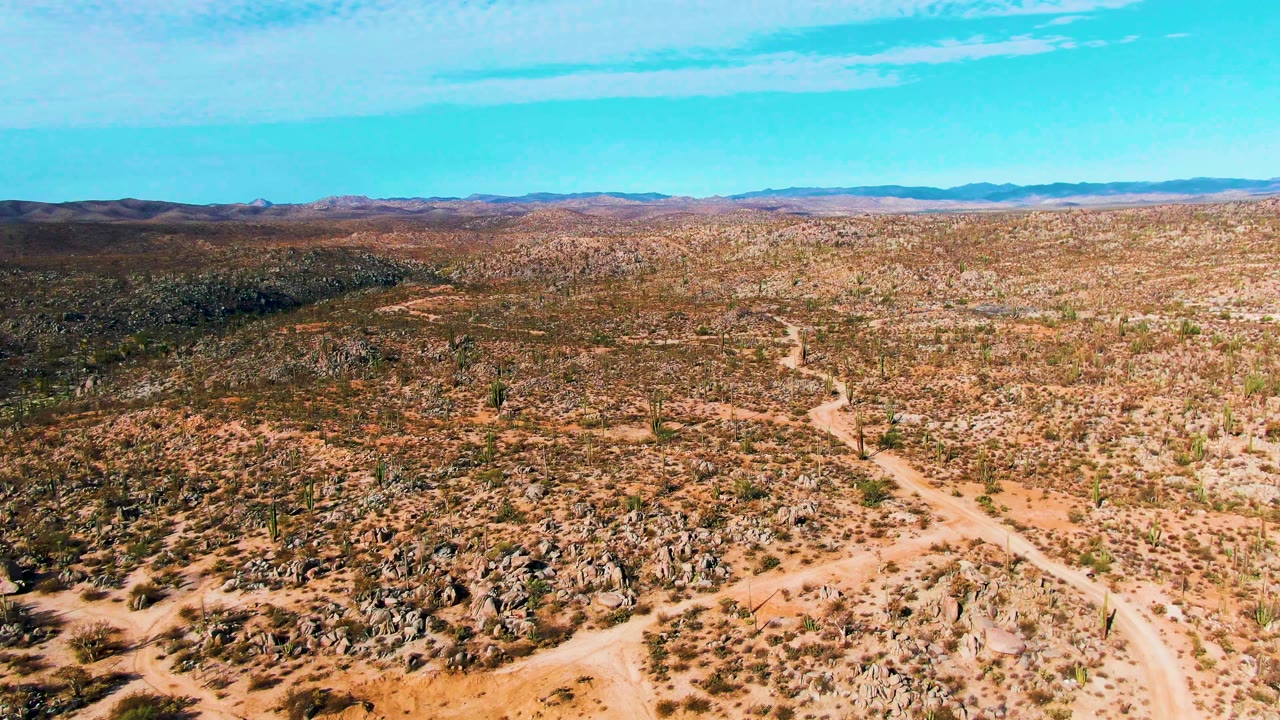 Wide aerial view across Catavina BC Mexico desert with rocky foreground, scattered cactus columns, low scrub, winding dirt tracks through the midground, distant hills, and no visible people.