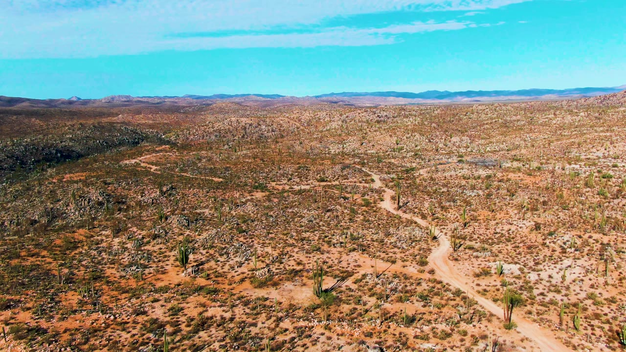 Third frame from the Catavina BC Mexico aerial pass showing the road bending through tan desert, tall cacti spaced across the scene, darker rocky patches to the left, and no visible people.