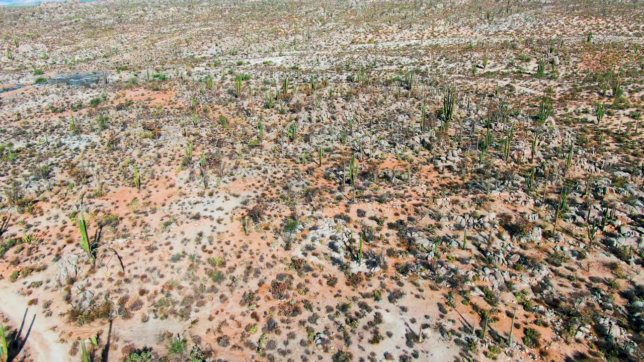Opening aerial frame over Catavina BC Mexico desert with scattered cacti, rock clusters, beige and red soil, low shrubs, and no visible people.
