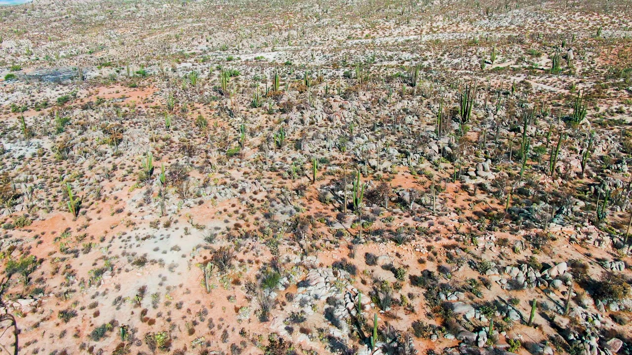 Mid-clip aerial view across Catavina BC Mexico arid ground with scattered cactus, dense rock patches, sparse scrub, bright light, and no visible people.
