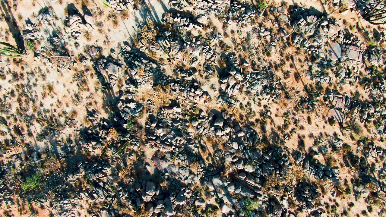 Near-vertical aerial frame over Catavina BC Mexico desert terrain with pale sand, dark rock clusters, scattered shrubs, and no visible people.