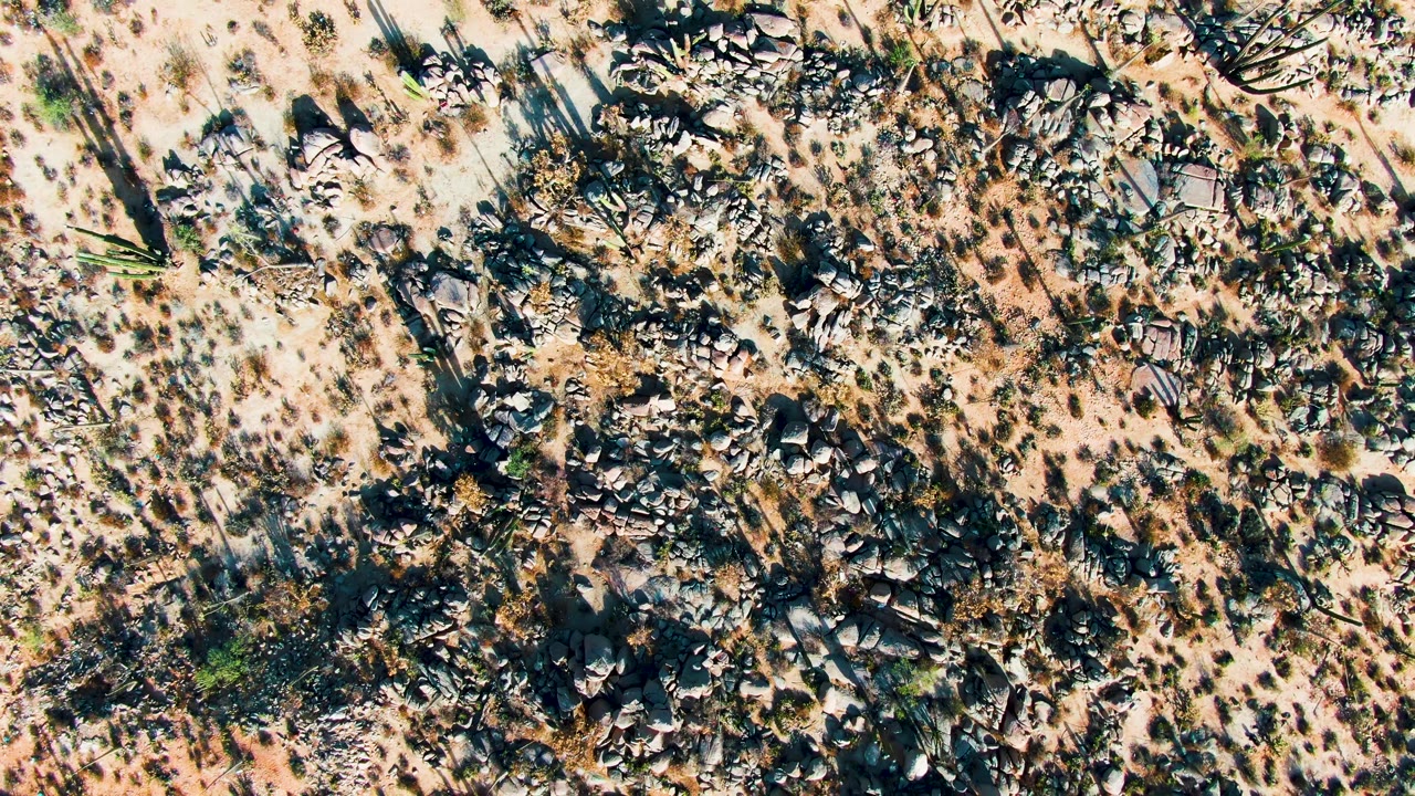 Aerial view of pale sand, dark rocks, and scattered desert plants