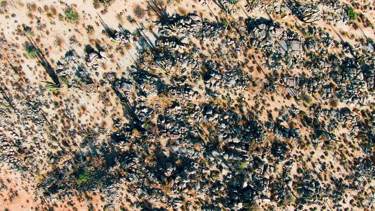Top-down desert terrain with dark rock clusters and sparse shrubs.