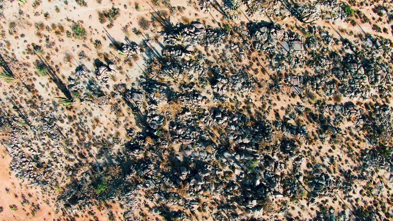 Top-down Catavina BC Mexico desert view with dark rocks spread across tan sand, small green plants, diagonal shadows, and no visible people.