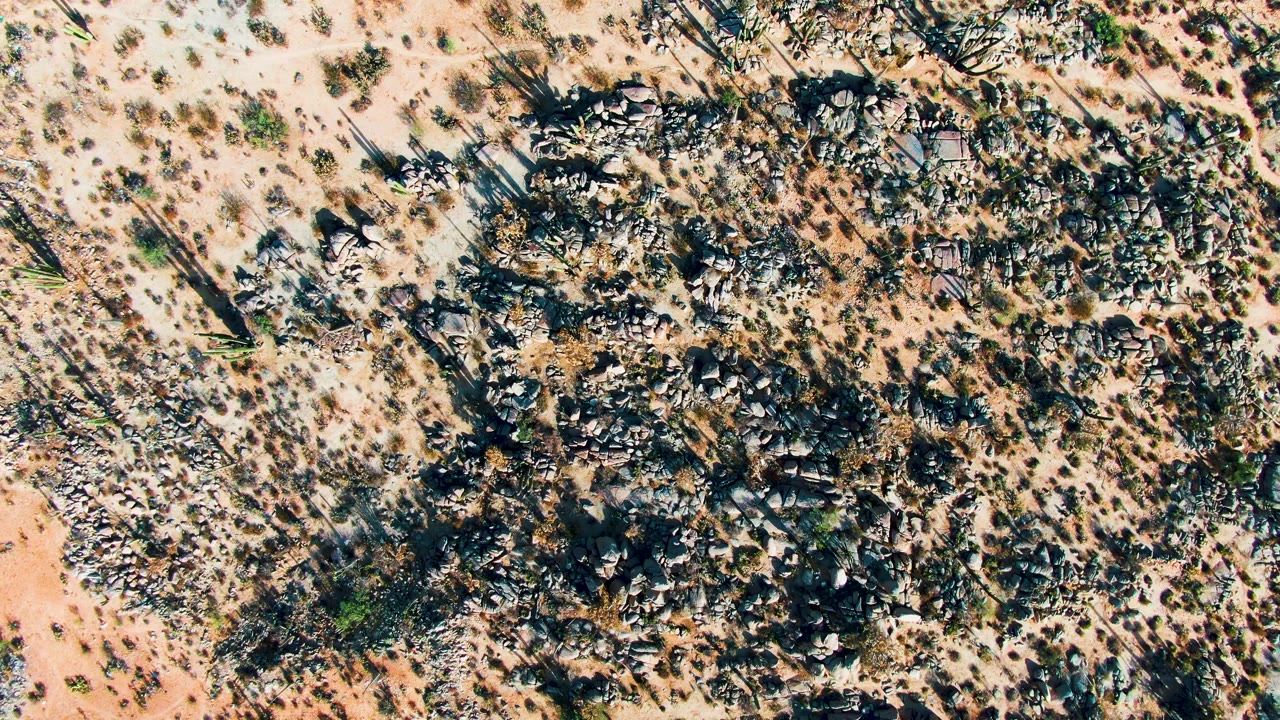 Aerial frame in Catavina BC Mexico with dense dark stone patches, scattered low vegetation, pale sandy ground, crisp shadows, and no visible people.