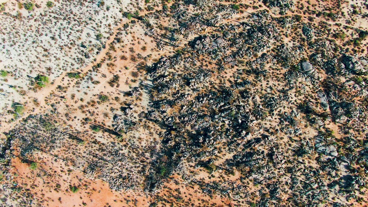 Top-down rocky desert with sparse vegetation