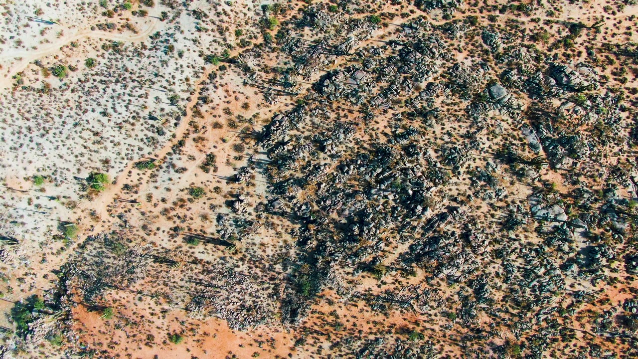 Overhead view of Catavina, Mexico desert terrain with pale sand, dark rock clusters, scattered shrubs, and no visible people.