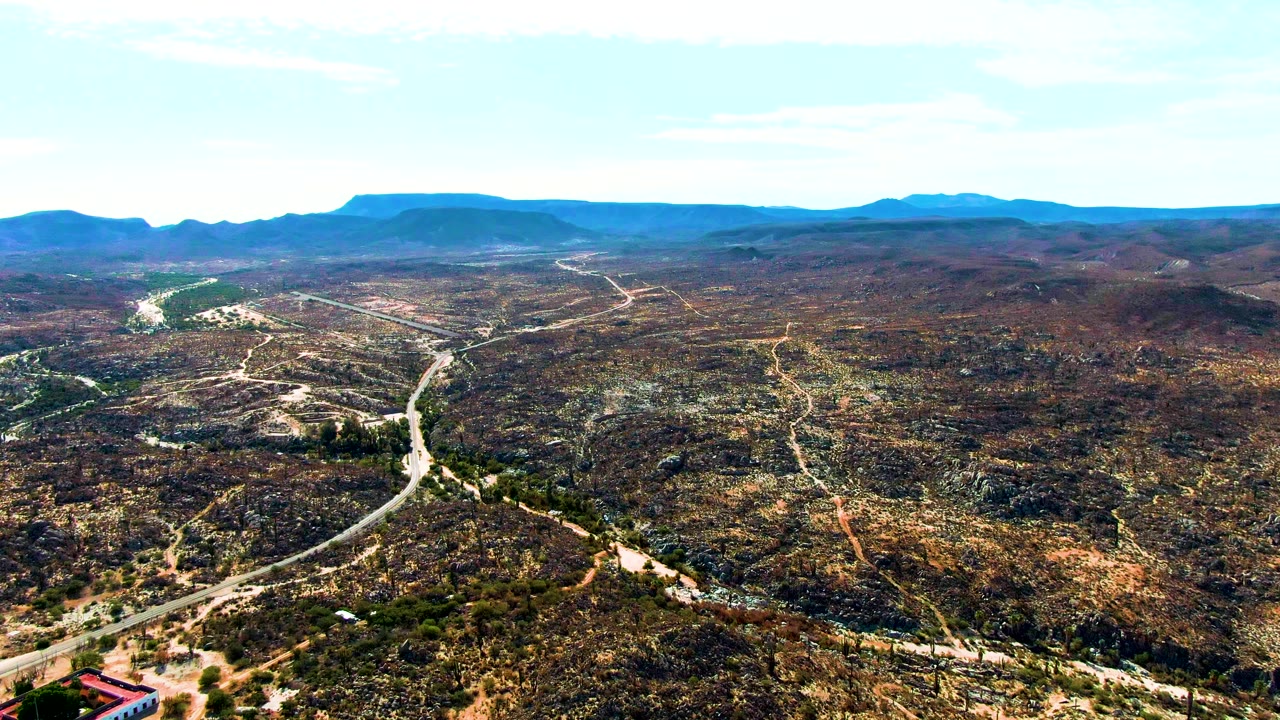 Wide aerial frame in Catavina BC Mexico with a curving road entering from the lower foreground, branching dirt tracks across scrubby hills, and no visible people.
