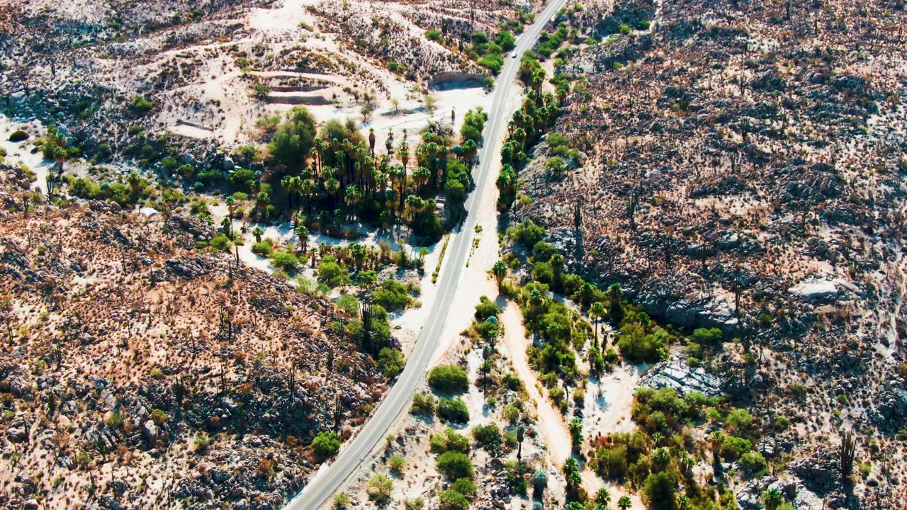 Aerial frame from Catavina, Mexico with the road shifted closer to center, rocky slopes on both sides, clustered green trees near the lower road edge, and no visible people.
