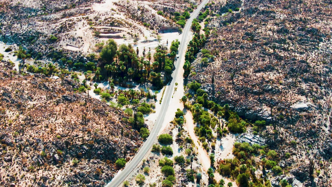 Aerial frame from Catavina BC, Mexico showing a small white car near the upper stretch of a pale winding road, rocky brown terrain, green shrubs, a cluster of taller trees, and no visible people.