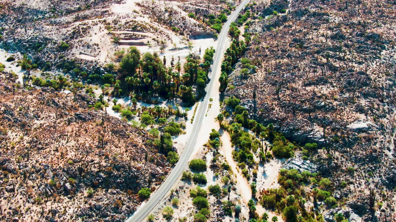 Aerial view in Catavina BC, Mexico with the white car slightly lower on the winding road, a dense green tree pocket to one side, scattered shrubs, pale dirt shoulders, and no visible people.